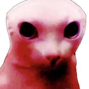 Meet your Posher, Kiara